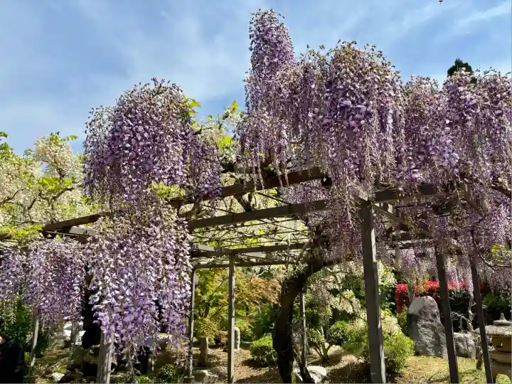 天台宗 五大山 白毫寺(兵庫県)