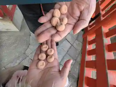 鵜戸神宮(宮崎県)