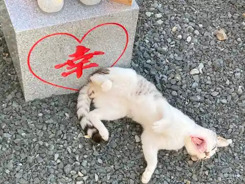 鹿角八坂神社の動物