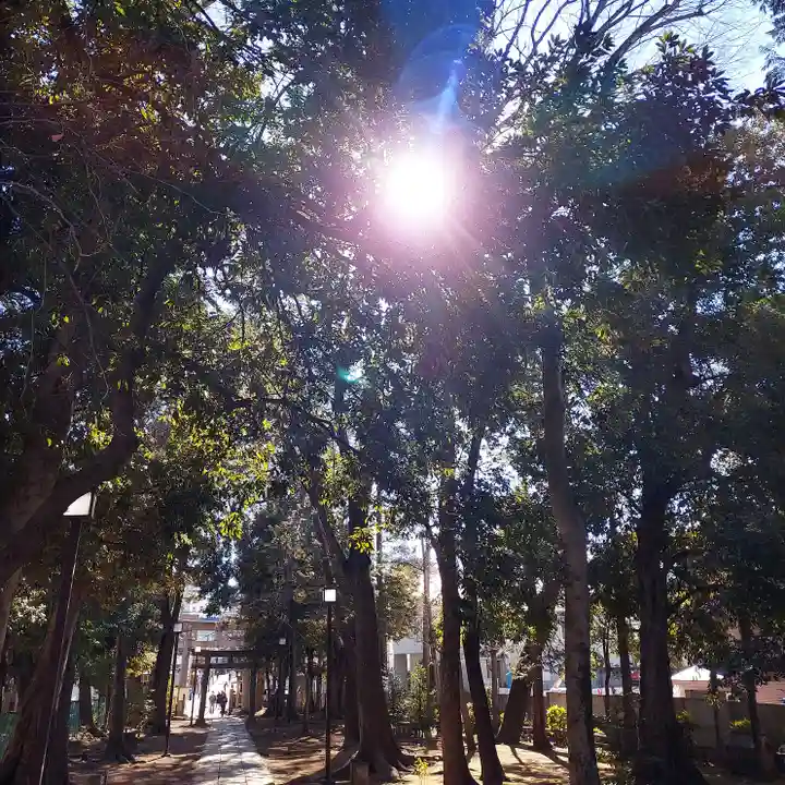 八雲氷川神社(東京都)