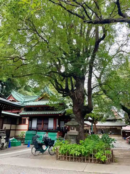 王子稲荷神社(東京都)