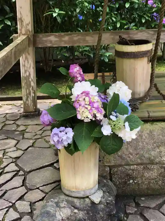 明月院(神奈川県)