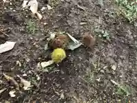 菅田神社(兵庫県)