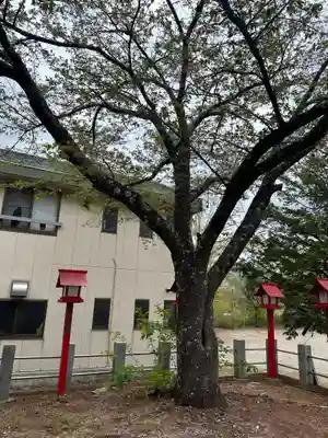 笠科神社(群馬県)