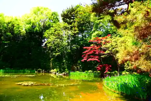 平安神宮の庭園