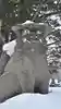 野幌神社の狛犬