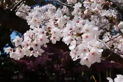 三津厳島神社(愛媛県)