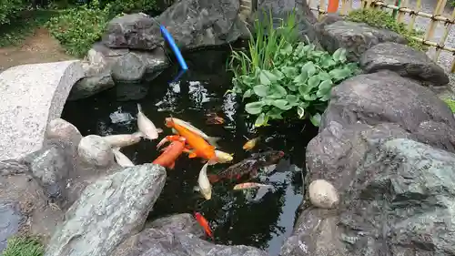 尾張猿田彦神社の庭園