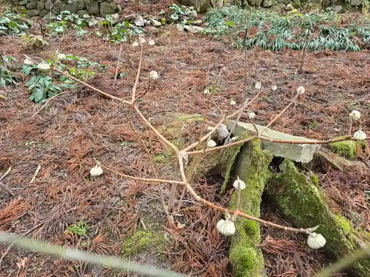 播州清水寺(兵庫県)