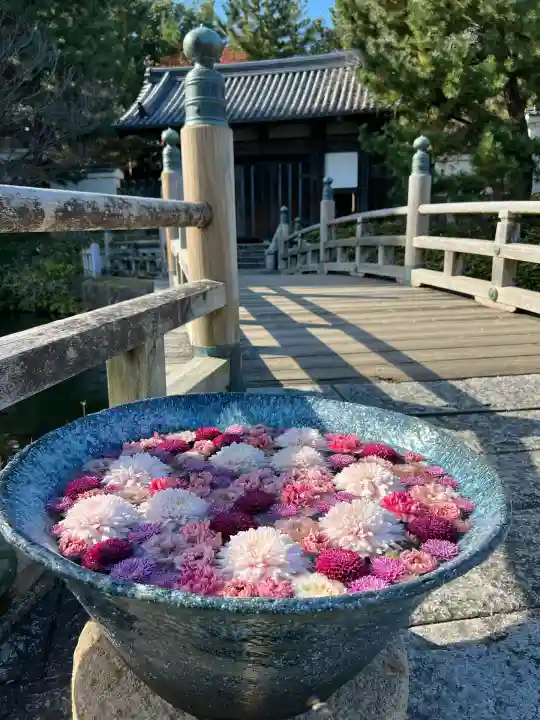 忍 諏訪神社・東照宮 (埼玉県)