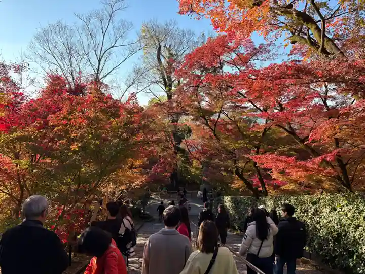禅林寺(永観堂)(京都府)