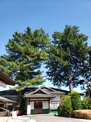 中野沼袋氷川神社(東京都)