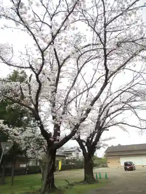 伏木香取神社(茨城県)