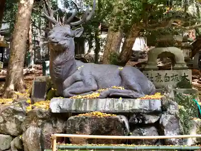 春日大社の手水舎