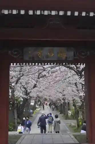稱名寺(神奈川県)