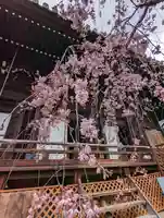 平等寺(因幡堂)(京都府)