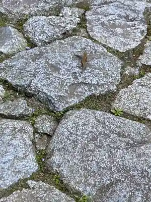 高天彦神社(奈良県)