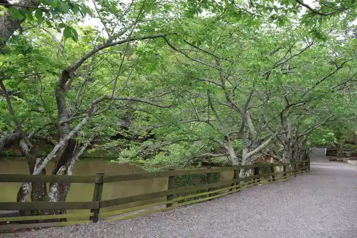 安房神社(千葉県)