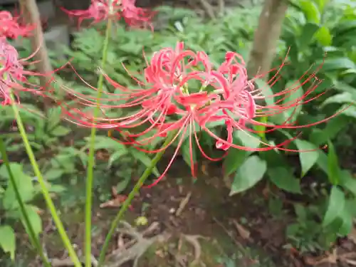 宝戒寺(神奈川県)