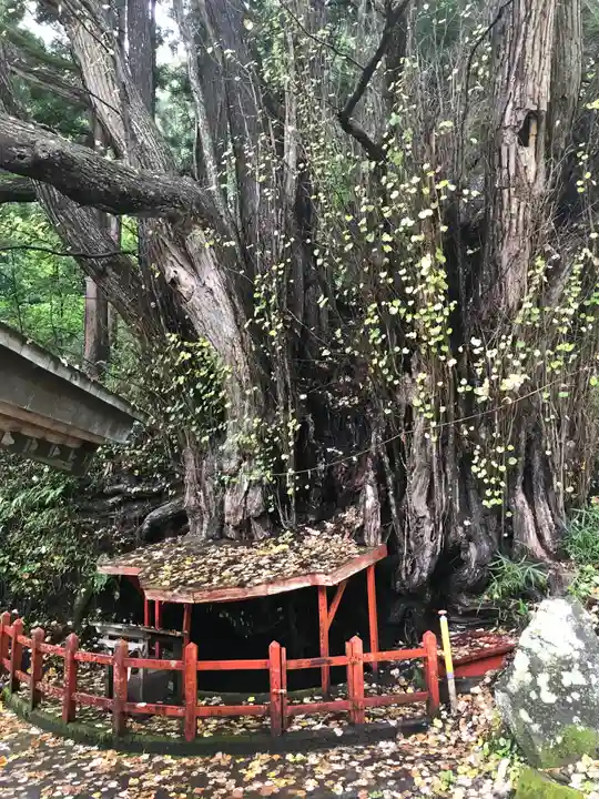 天台寺(岩手県)