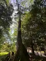 八幡宮(福井県)