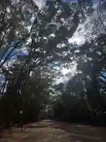 賀茂御祖神社(下鴨神社)の自然
