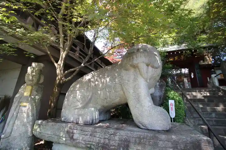 善養寺(善養密寺)の狛犬