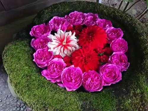 菅生神社の手水舎