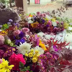 滑川神社 - 仕事と子どもの守り神の手水