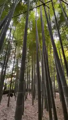 報国寺(神奈川県)