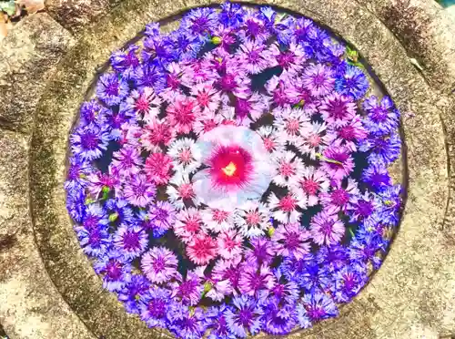 埼玉厄除け開運大師・龍泉寺（切り絵御朱印発祥の寺）の手水舎