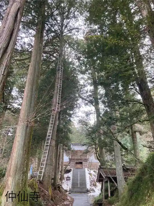 仲仙寺(長野県)