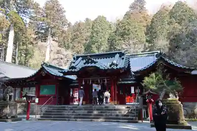 箱根神社の本殿・本堂