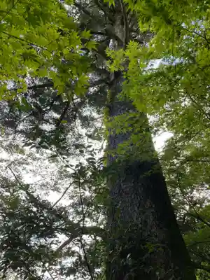 苗秀寺(京都府)