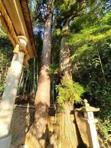 質美八幡宮(京都府)