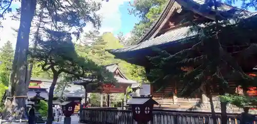 北口本宮冨士浅間神社の本殿