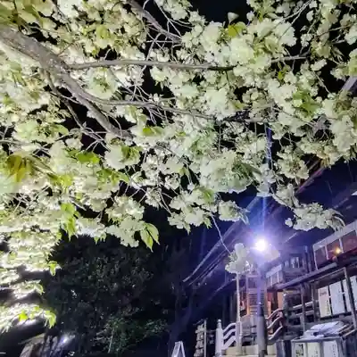 上地八幡宮(愛知県)