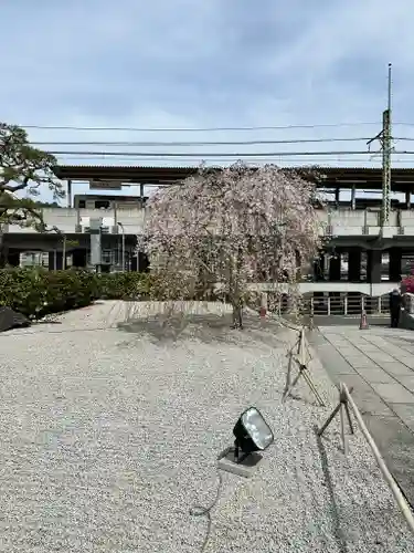 大光寺(東京都)