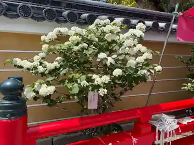 中山寺(兵庫県)