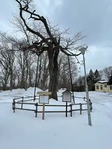 弟子屈神社の御朱印
