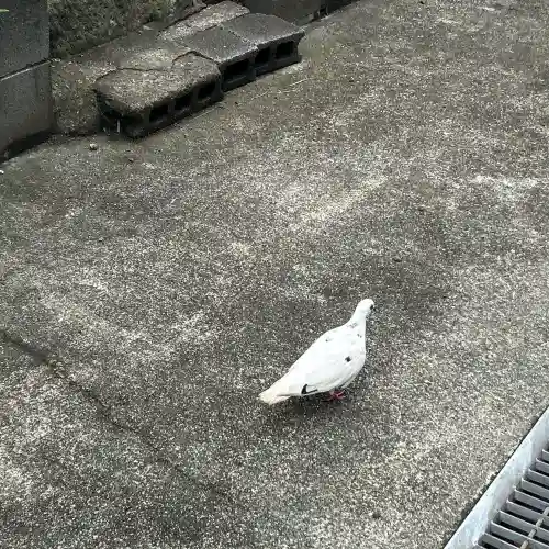 金砂山観音堂(神奈川県)