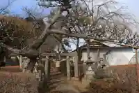 天満神社の鳥居