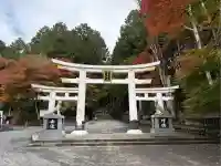 三峯神社(埼玉県)