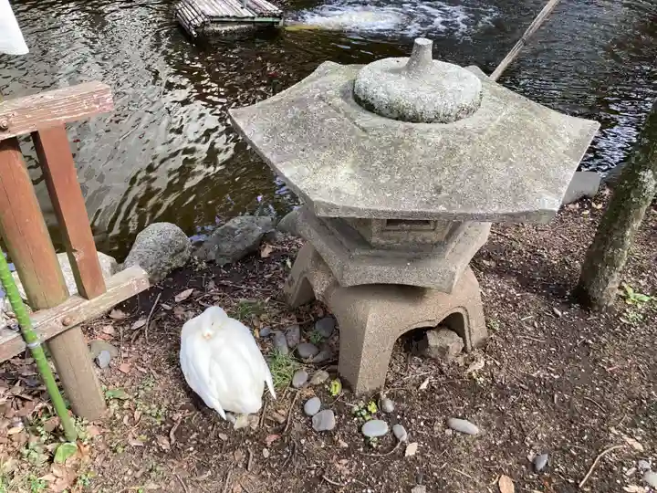 平塚八幡宮(神奈川県)