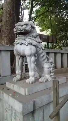 渋谷氷川神社(東京都)