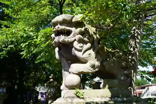 神炊館神社 ⁂奥州須賀川総鎮守⁂の狛犬