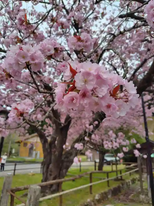春日神社の御朱印