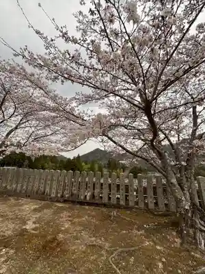 和田寺(兵庫県)