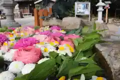 立志神社の手水