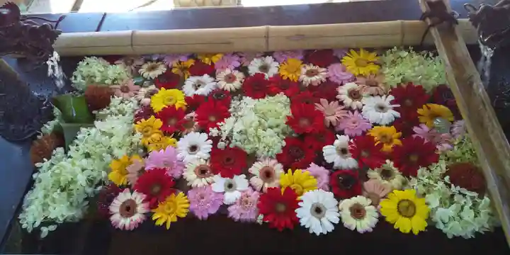 美幌神社の手水舎